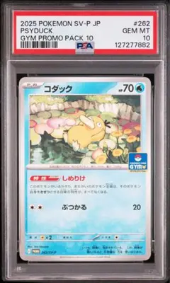 【PSA10】コダック　しめりけ　ジムプロモ　262/SV-P