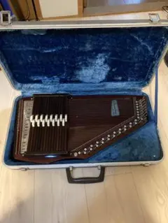 2025年最新】クロマハープの人気アイテム - メルカリ