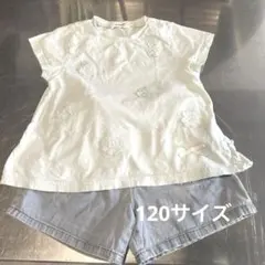 120サイズセット