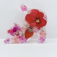 猫ちゃん いちご 固まるハーバリウム オブジェ - メルカリ