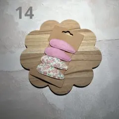 Item thumbnail for item 2dfac796-cda6-4ef2-b326-24a685db6253