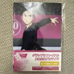 カンナ様 リクエスト 2点 まとめ商品