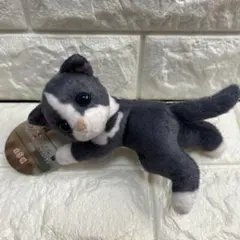 REAL ANIMAL 猫つまんでマスコットBC ねこ ぬいぐるみ ハチワレ