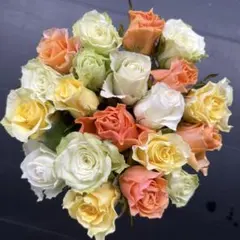 ②3月23日 3束 KEIKO様専用　21日発