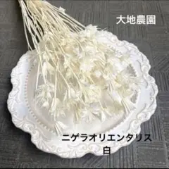 mayufuji ♡空花♡様　ご専用