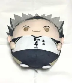 ハイキュー くじメイト ぬいくじC賞 ふわコロリン 木兎光太郎 - メルカリ