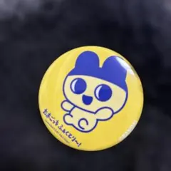 ⭕️値引き⭕️たまごっち ふぁくとり〜！ 缶バッジ まめっち