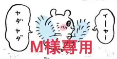 【購入不可です】M様　専用です