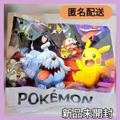 ♥️ポケモン❤メッシュ Tシャツ ピカチュウ ゲンガー /新品未開封
