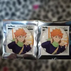 ハイキュー!!　日向翔陽