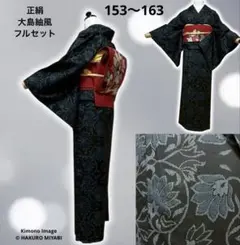 正絹　紬　大島紬風　小紋　更紗柄　フルセット モ68