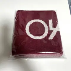 2026年最新】04 limited sazabys タオルの人気アイテム - メルカリ