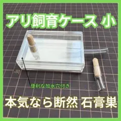 Item thumbnail for item 31d5c41c-94ce-4f42-a7ef-b58026e46d76