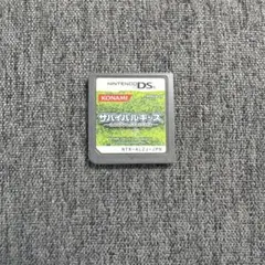 サバイバルキッズ　ロストインブルー2