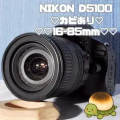 Nikon D5500 一眼レフカメラ スマホ転送 シングルレンズセット ニコン