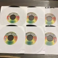 RYO the SKYWALKER 7インチ レコード Bush Hunter - メルカリ