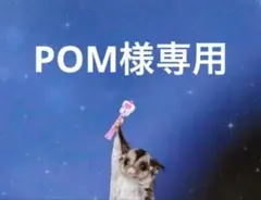 POM様専用 リクエスト 4点 おまとめ商品