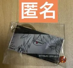 僕のヒーローアカデミア　ヒロアカ　キーリングコレクション　eye 原作　爆豪