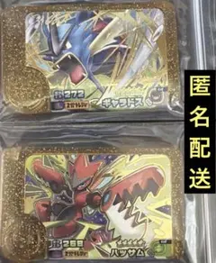 ポケモンフレンダ ギャラドス ハッサム