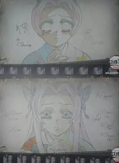 鬼滅の刃 ufotable cafe 無限城編 ランチョンマット しのぶ カナエ