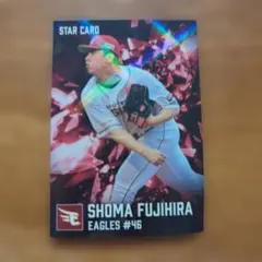 カルビー プロ野球チップス 東北楽天ゴールデンイーグルス 藤平尚真 カード