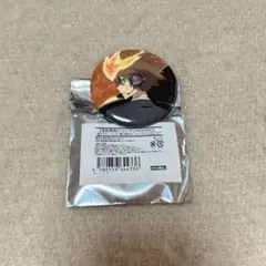 家庭教師ヒットマンREBORN 沢田綱吉　缶バッジ