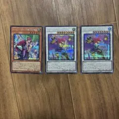 ハーピィレディ シクまとめ