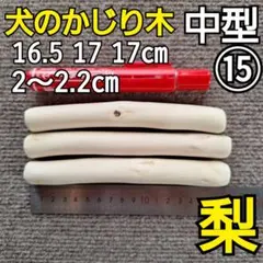 Item thumbnail for item b3a6ac4e-292e-4b39-966e-d52d3e5e877c