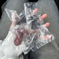 即購入OK 一番くじ ゴジラ 怪獣乱舞 E賞 モンスターヘッドマグネット コンプ