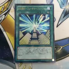 【レア型番】未来融合　フューチャーフュージョン　ウルトラ　DE01