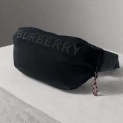バーバリー BURBERRY ベルトバッグ クロスボディバッグ 8070660 - メルカリ