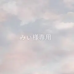 ネイルチップ　みぃ様