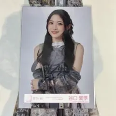 2026年最新】谷口愛季 生写真 iwtcの人気アイテム - メルカリ