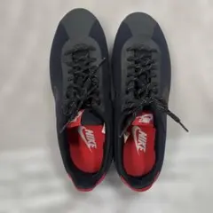 Item thumbnail for item 1638c9cf-73f5-4c13-b69a-216941054791