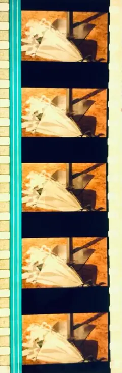 エヴァンゲリオン 新劇場版 破 Blu-ray フィルム 碇ユイ 墓標