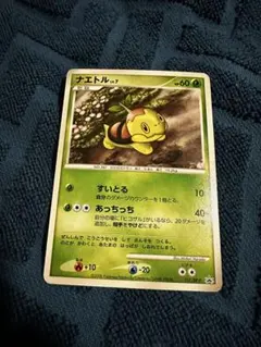 ナエトル P 　プレイヤーズけいけんち　プロモ　ポケモンカード ナエトル プレイヤーズ けいけんち 001/PPP プロモ - メルカリ
