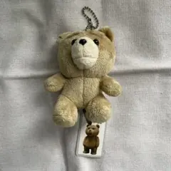 ted ぬいぐるみ キーホルダー