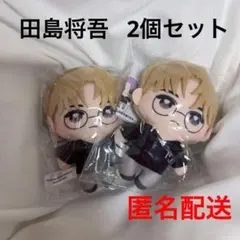 【匿名配送❗️】INI かぷっこふれんず 田島将吾 2個セット