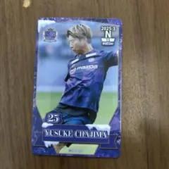 2026年最新】オンサイトカード サンフレッチェ広島の人気アイテム