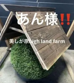 2026年最新】杉玉の人気アイテム - メルカリ