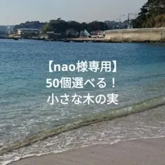 【nao様専用】50個選べる！小さな木の実
