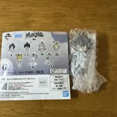 Item thumbnail for item c61864cf-2a38-4377-97a8-7ce28ba3eac6