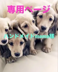 専用ページ　ハンドメイドmama様　無害シリコンモールド