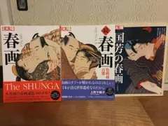 Item thumbnail for item 707d5923-0c8e-4157-a9ed-ae8d687625f2