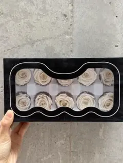 ホワイトプリザーブドフラワー10輪