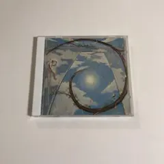 2026年最新】ナポレオンフィッシュと泳ぐ日の人気アイテム - メルカリ