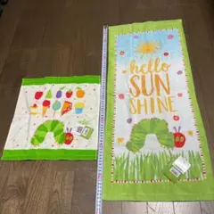 【タグ付き】はらぺこあおむし  タオル 2種セット