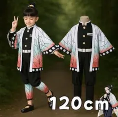 鬼滅の刃　胡蝶しのぶ風　120cm コスプレ 子供 ハロウィン 仮装 仮装