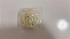 シルバニア ドキドキコレクション 赤ちゃんフルーツパーティー ラブラドール②