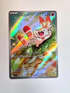 ハイネコ※受取評価は期日内までにします様 リクエスト 2点 まとめ商品 